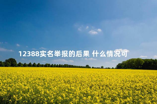 12388实名举报的后果 什么情况可以打12388